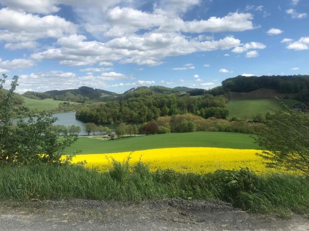 Haus Am Hennesee Holiday home
